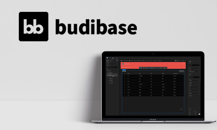 Logo von buddibase und beispielhafte Ansicht von buddibase auf Desktop